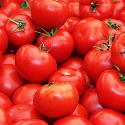 Loose Tomatoes 1kg