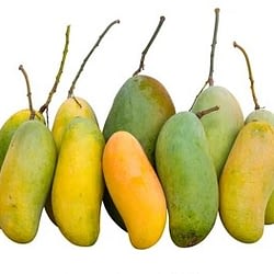 Mango Large (each)